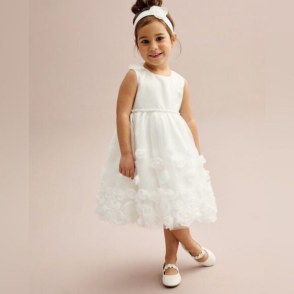 Blueberi Boulevard Toddler Dress - Picture 1 of 9